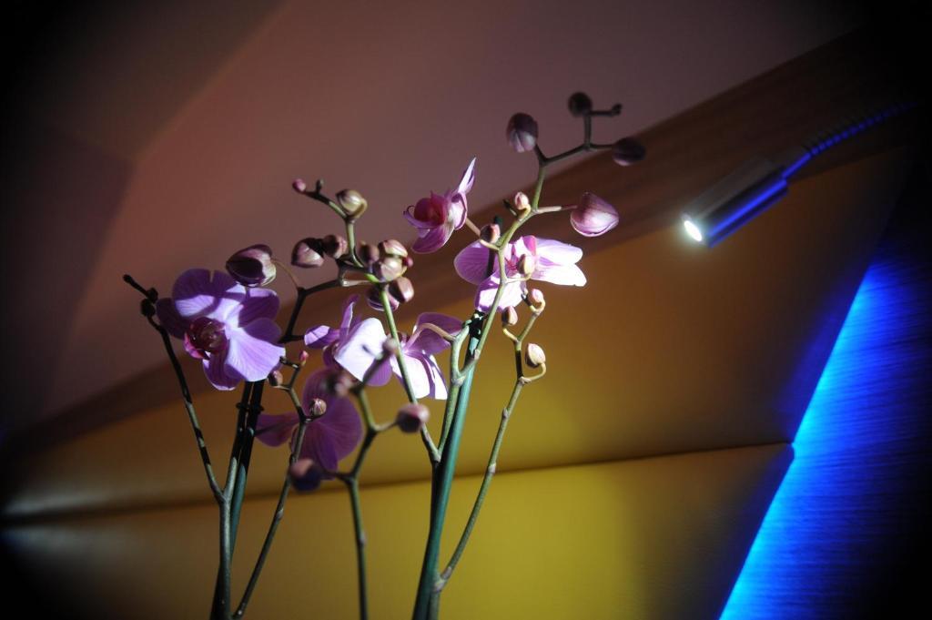 Ostia Antica Suite B&B 部屋 写真